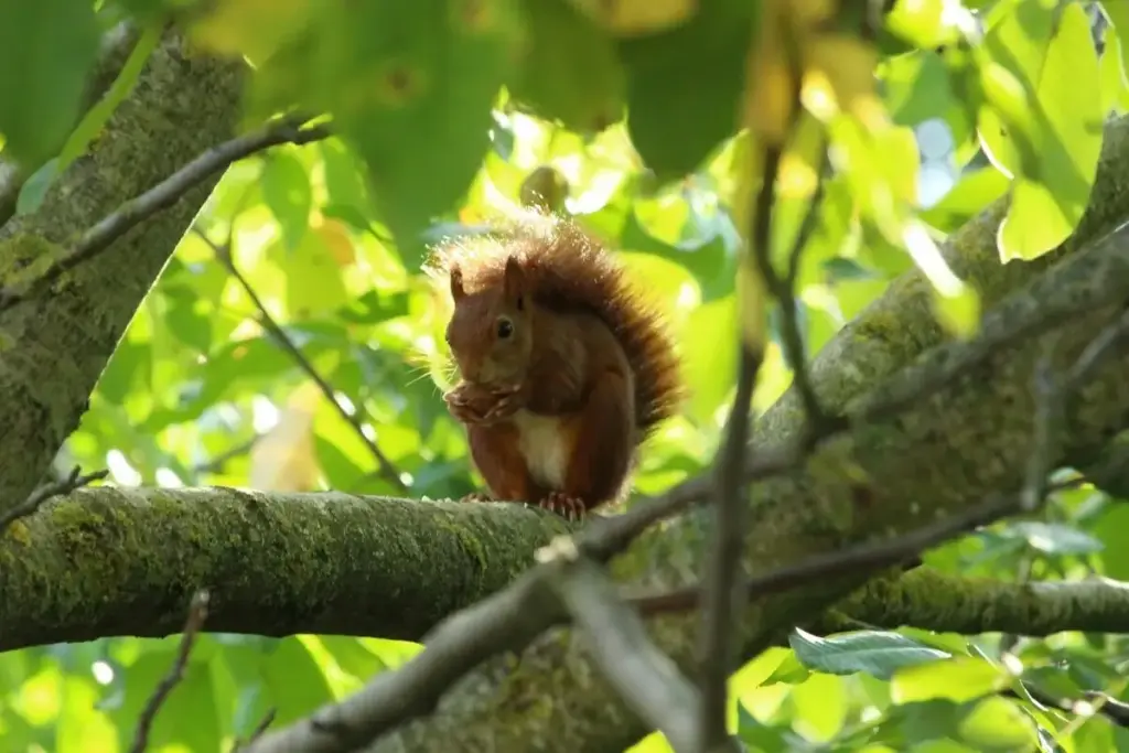 Produktiv arbeiten trotz Ablenkung