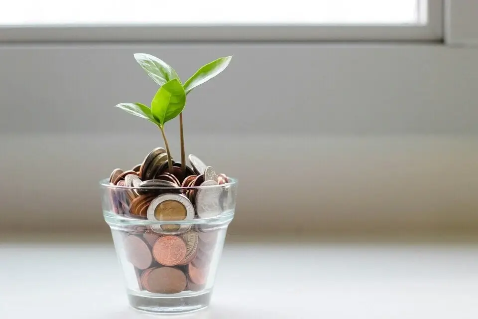 Echte Pflanze in einem Topf mit Geldstücken als Symbol für Wachstum im Vertrieb